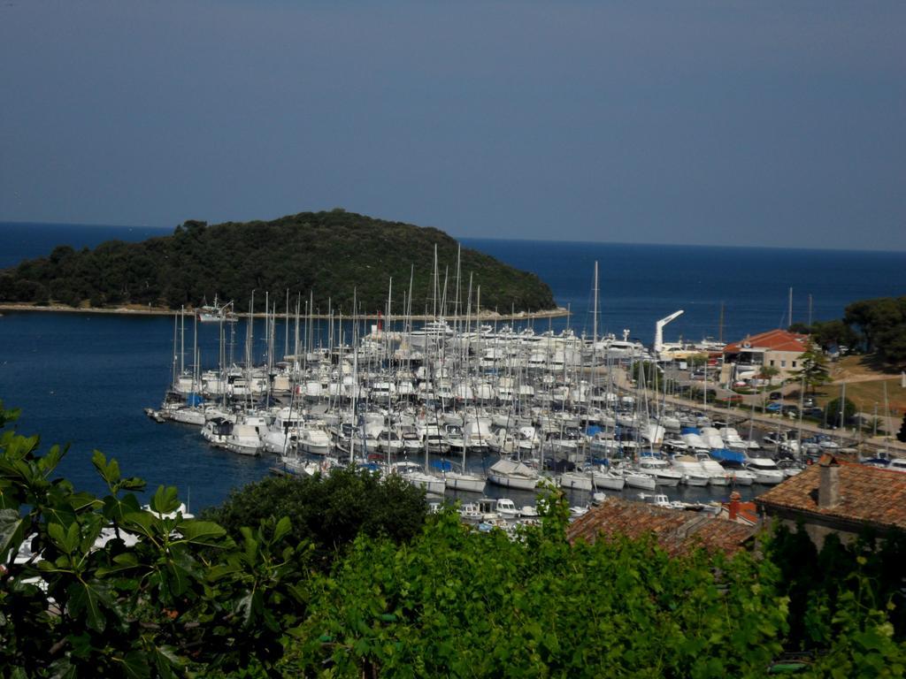 Degrassi Square Apartments (Adults Only) Vrsar Εξωτερικό φωτογραφία